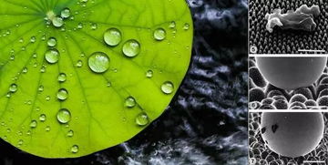 化纖不透氣？你媽覺得該這么穿，真不一定對(duì)！